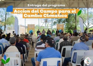 Entrega de Insumos