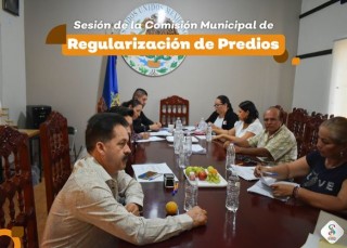 20230814_mtiKDisCat