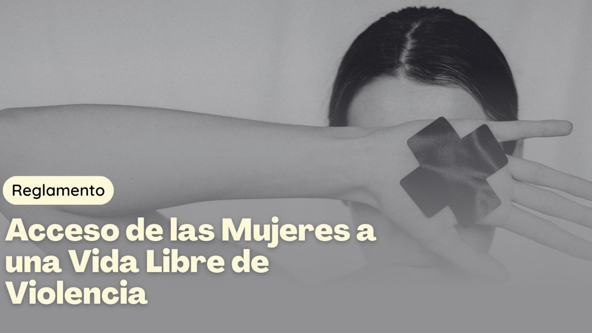 REGLAMENTO DE ACCESO DE LAS MUJERES A UNA VIDA LIBRE DE VIOLENCIA